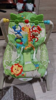 Dětské křesílko Fisher Price - 2