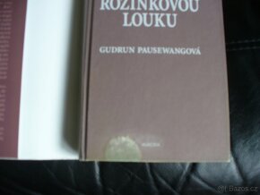 Vzpomínám na Rozinkovou louku - 2