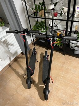 2x Xiaomi Scooter PRO - 2