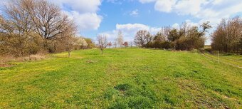 Pastevní ustájení s možností boxu-jedno místo volné - 2