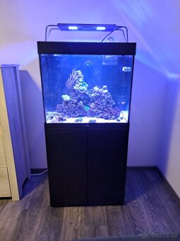 Morské akvarium - 2