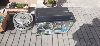 Zdarma pouze dnes - 2