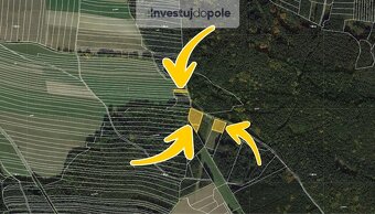 Prodej lesu v k.ú. Zaliny - 2