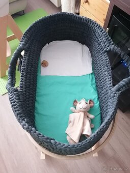 Mojžíšův koš / kolébka - 2