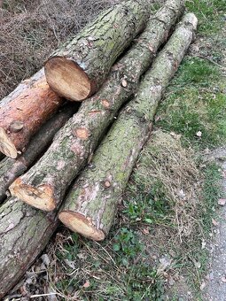 Palivové dřevo smrk borovice nebo k uzení ovocné - 2