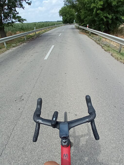 Karbonové silniční kolo Sava Vegur 4.0, vel. L (54) - 2