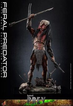 Prey Akční Figurka 1/6 Feral Predator 37 cm Hot Toys - 2