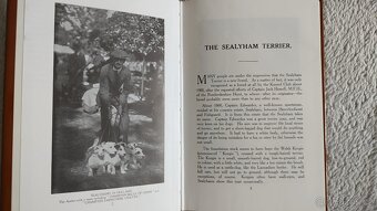 Sealyham terrier - kniha - 2