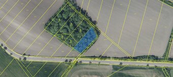 Prodám lesní pozemek v k.ú. Solany - 2