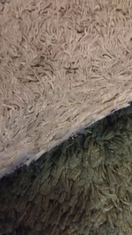 Kobereček zelenkavý - 2