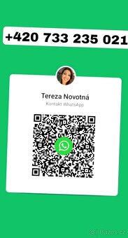 Dyson V16 Piston Animal - 2