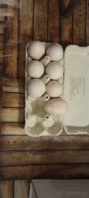 Krůta bronzová násadová vejce - 2