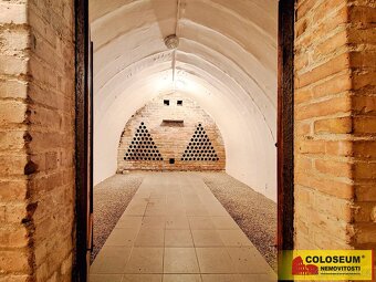 Milotice, vinný sklep, 50 m2, pozemek – vinný sklep - 2