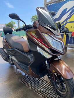 kentoya maximus 125 - 2