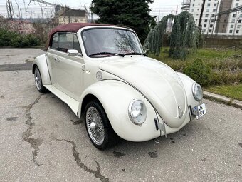 Volkswagen Brouk Cabrio - 2