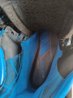 Profi brusle Bauer Nexus - 2