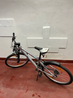 Kolo Author A-Matrix 24" - 2