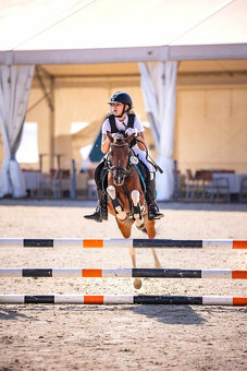 sportovní pony klisna - 2