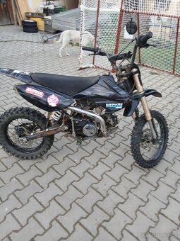 Pitbike 125 - 2