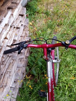 Max bike 19 - 2
