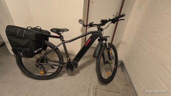 PELLS Thoor Base - 2