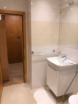 ÚTULNÝ BYT NA VINOHRADECH - 2