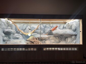 Terárium 143 x 73 x 74 cm - 2