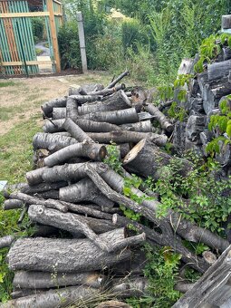 Třešňové dřevo - 2