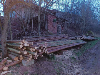 smrkové kůly, tyčovina, stavební materiál - 2