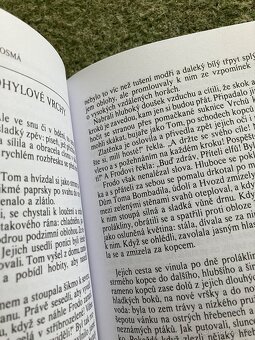 Společenstvo prstenů - 2