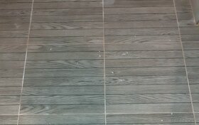 Dlažba Biloba grey - 2