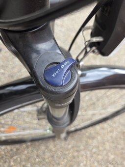 Elektrokolo Dema E-Lliot Modest Tour 500 2019 - 2