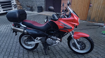 Suzuki XF650 Freewind - 2