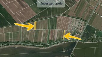 Prodej vinice v k.ú. Lednice na Moravě - 2