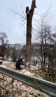 Rizikové kácen,ošetřování stromu a realizace zahrad - 2