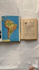 Dětské anglické knížky - 2