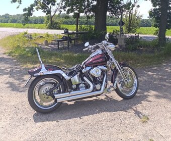 Harley Davidson Springer Evo 1998 - 2