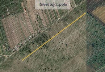 Prodej pole v k.ú. Charvátská Nová Ves - 2