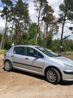 Peugeot 307 break - 2