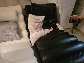 Štěňátka - 2