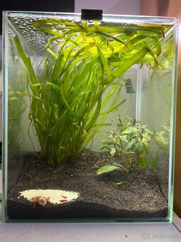 Akvarium 18l - 2