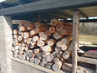 Akát prkna,kůly.Dub,buk, bříza fošny - 2