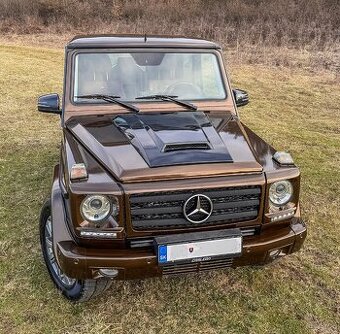 Mercedes Benz G 350 BLUETEC - 2