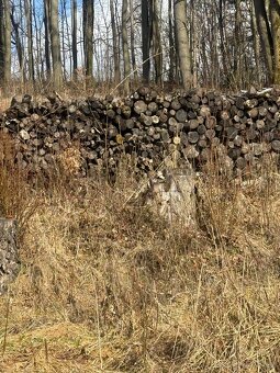 Prodám palivové dřevo - 2