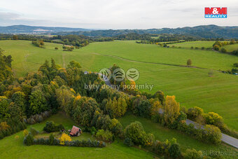 Prodej lesa, 752 m², Kosov - 2