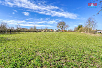 Prodej pozemku k bydlení, 2948 m², Pastuchovice - 2