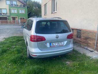 Šaran - 2