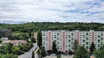 Prodej bytu 2+1 s balkonem a sklepem, Brno - Štýřice - 2