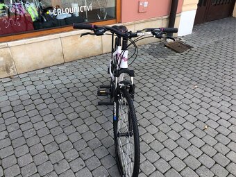 Kolo Scud 28" Perca Lady Altus 3x8 wht/pink,18" - 2