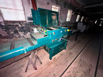 Omítací vícekotoučová pila Edger, omítací pila Wood-mizer EG - 2